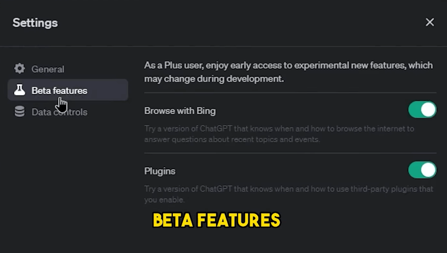 plugin chatgpt feature beta